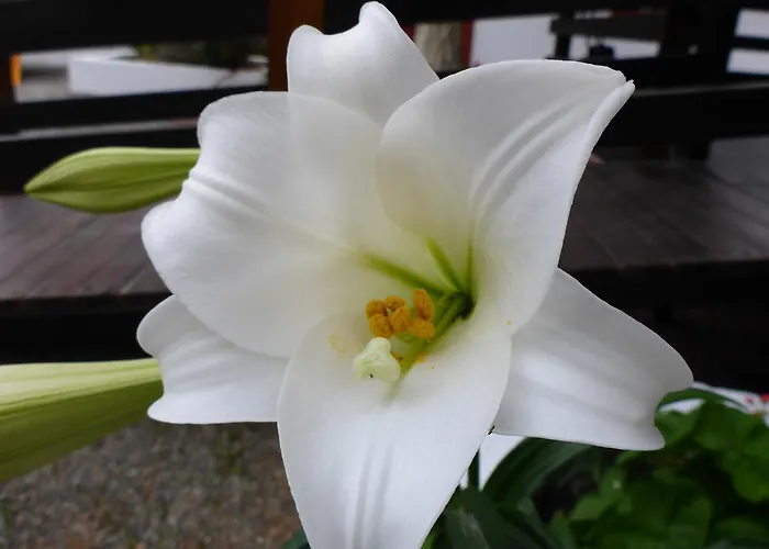 Aparthotel Resbithas Gythio