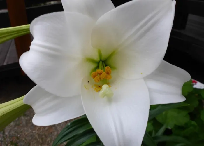 Resbithas Aparthotel 3*