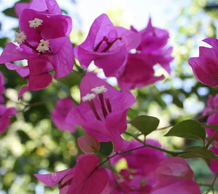 Hotel apartamentowy Resbithas Gythio