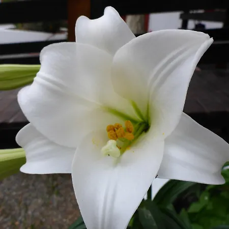 شقة فندقية Resbithas غيتيو